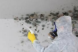 Best Mold Prevention Services  in Marshall, MI